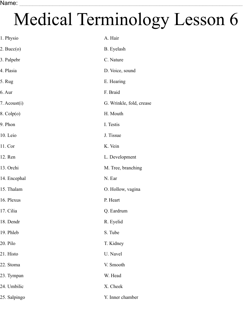 Medical Terminology Lesson 6 Worksheet