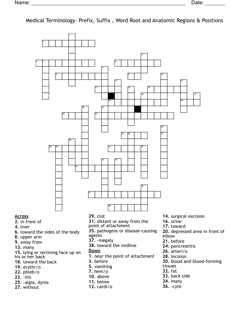 Medical Terminology- Prefix, Suffix , Word Root and Anatomic Regions & Positions Crossword