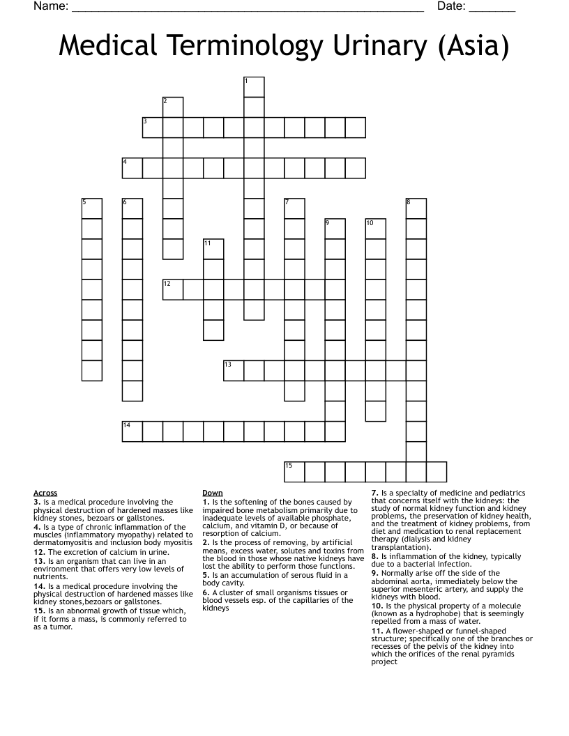 Medical Terminology Urinary (Asia) Crossword
