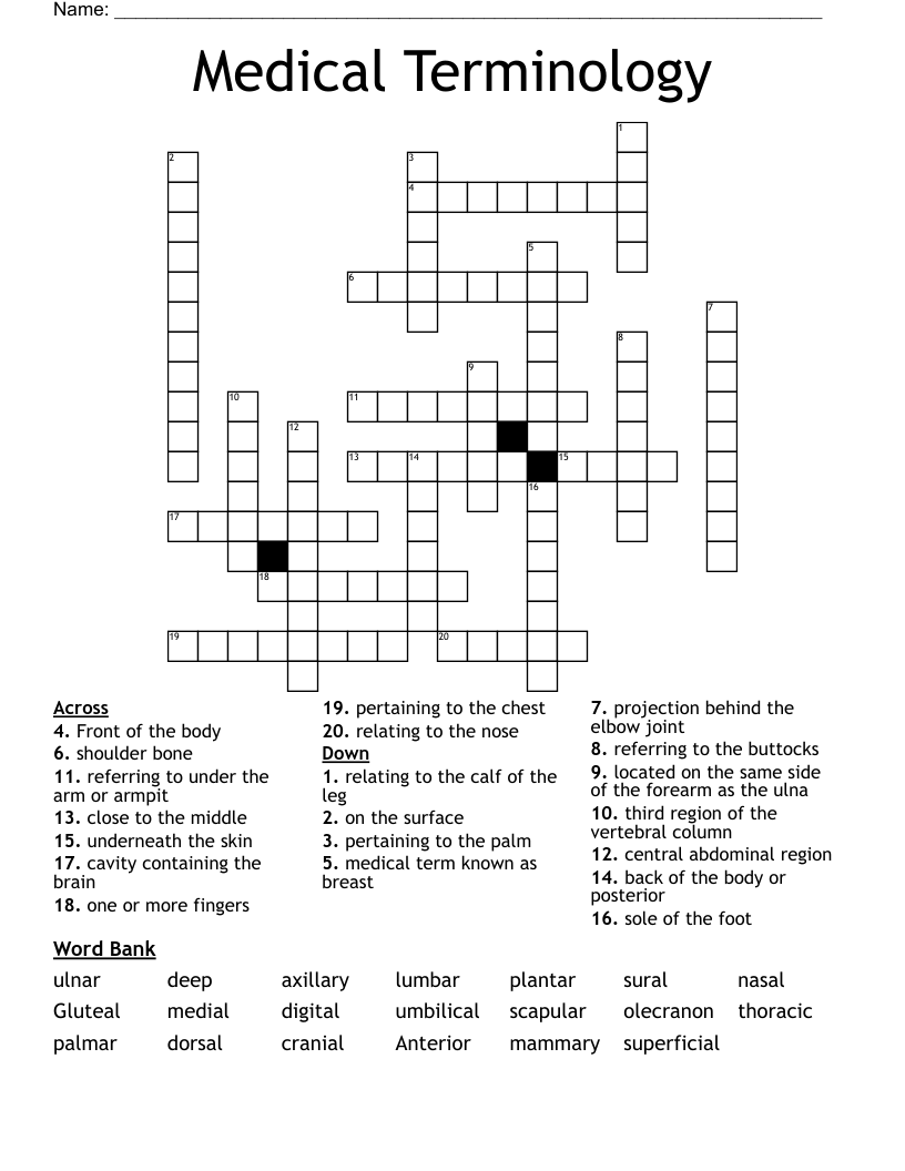 Medical Terminology  Crossword