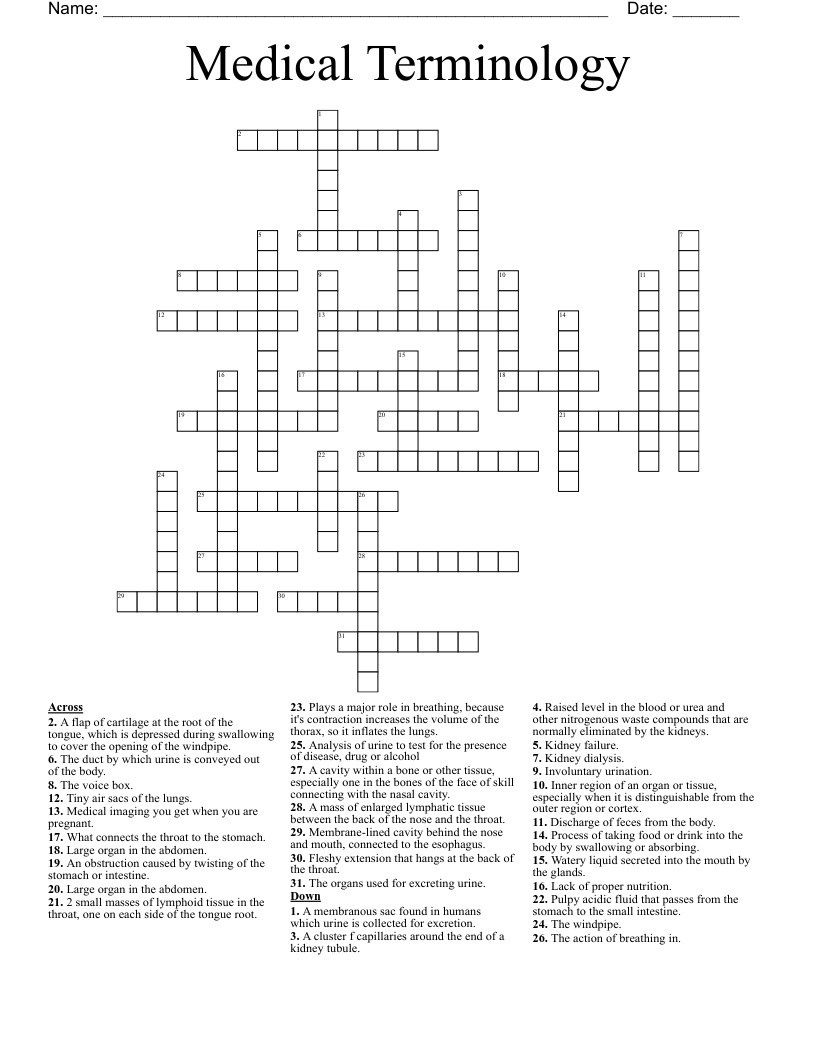 Medical Terminology  Crossword