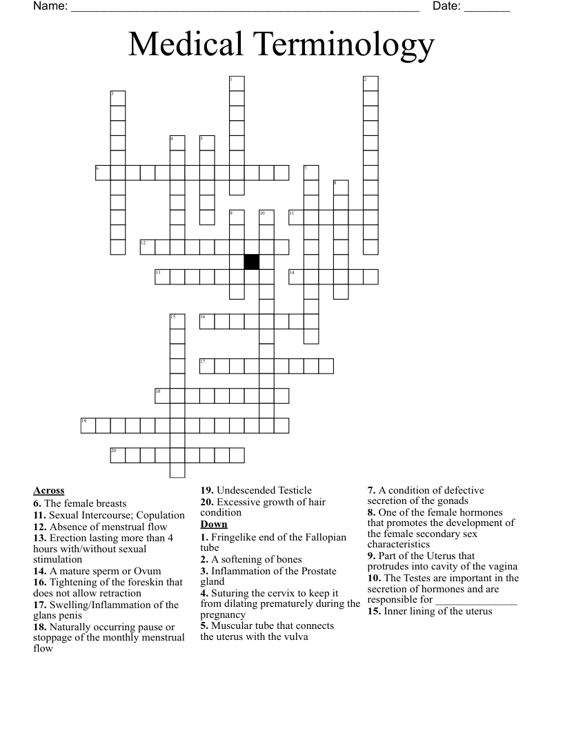 Medical Terminology  Crossword