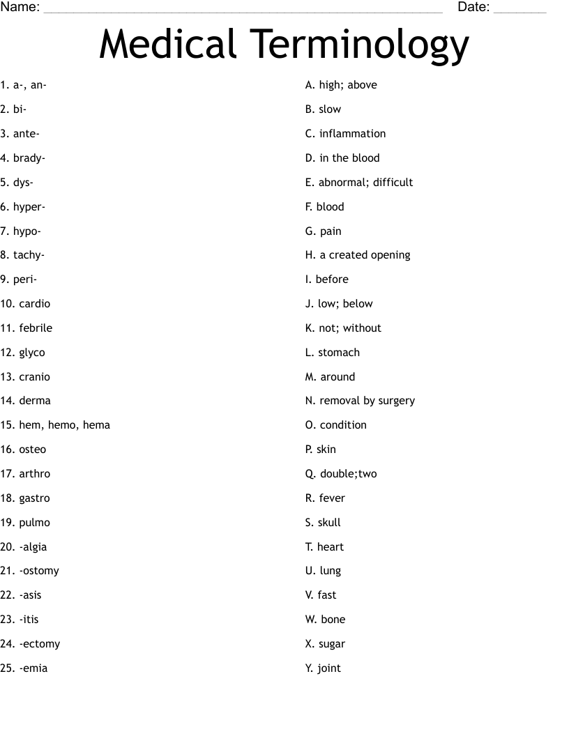 Medical Terminology  Worksheet
