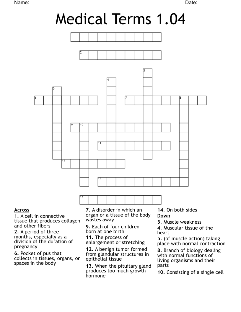 Medical Terms 1.04 Crossword