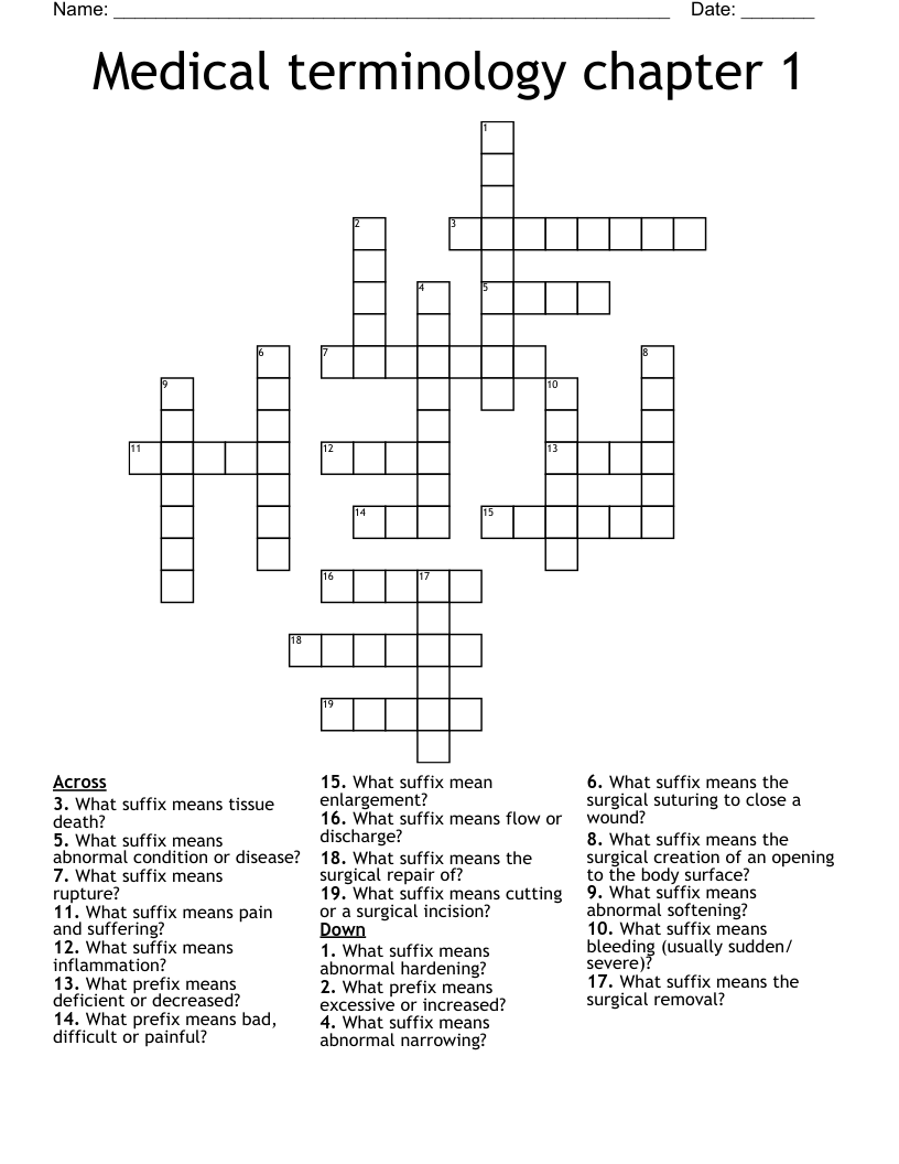Medical terminology chapter 1 Crossword