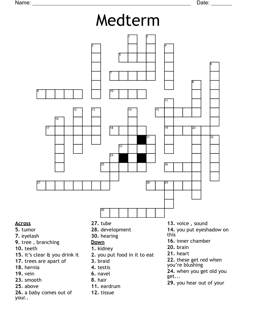 Medterm Crossword