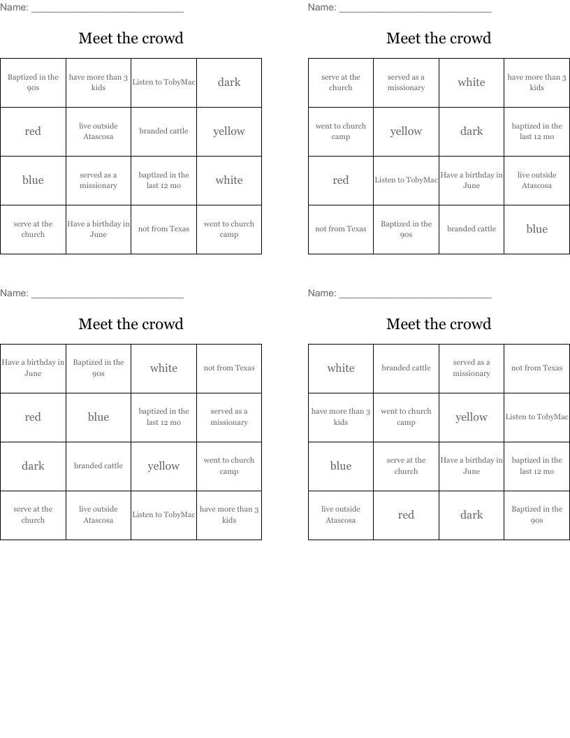 Meet the crowd Bingo Cards
