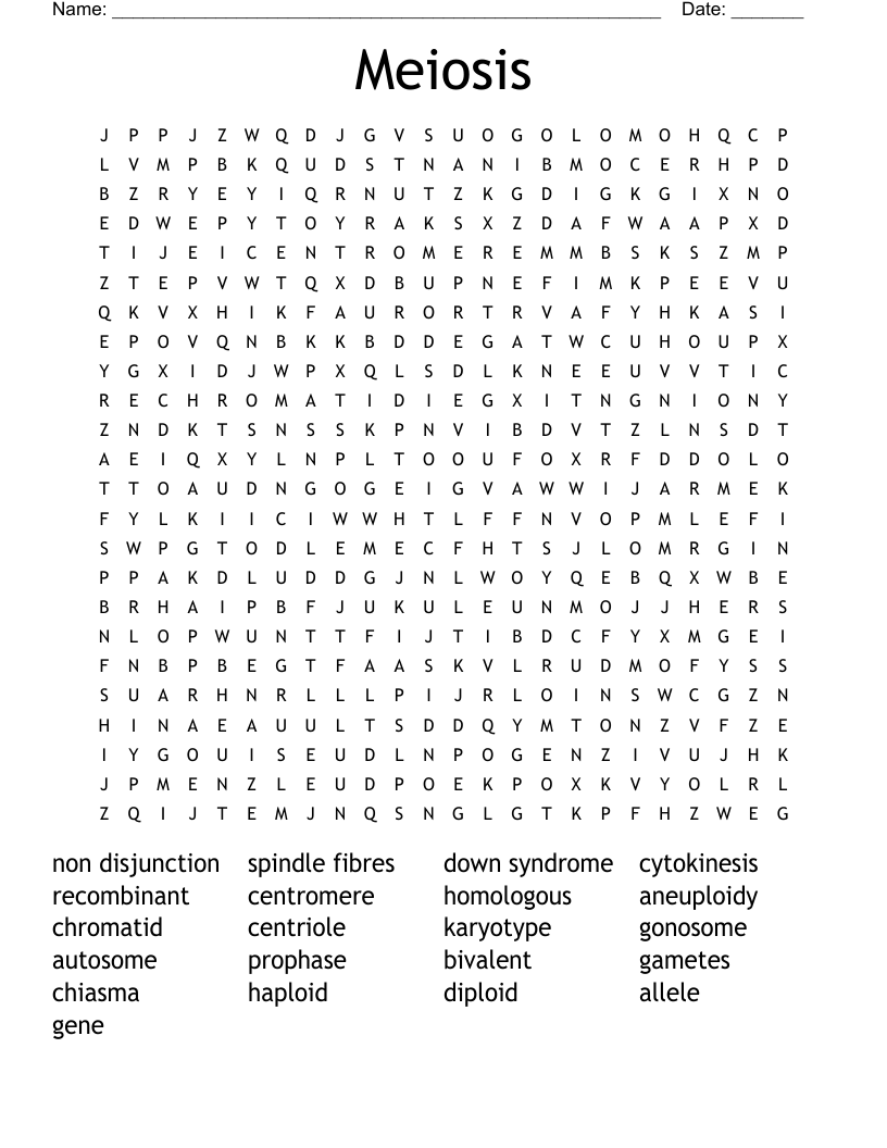 Meiosis Word Search