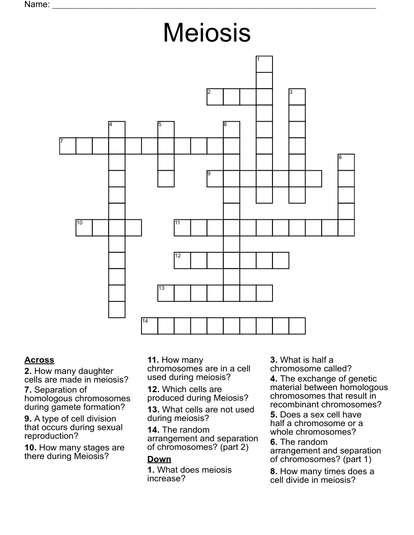 Meiosis Crossword