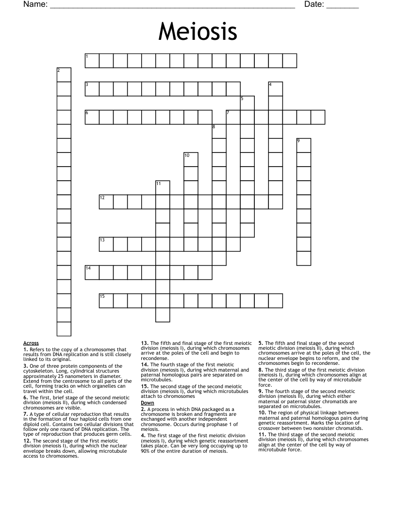 Meiosis Crossword