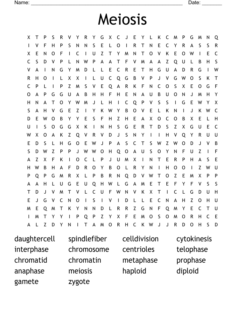Meiosis Word Search