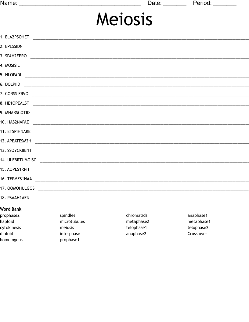 Meiosis Word Scramble