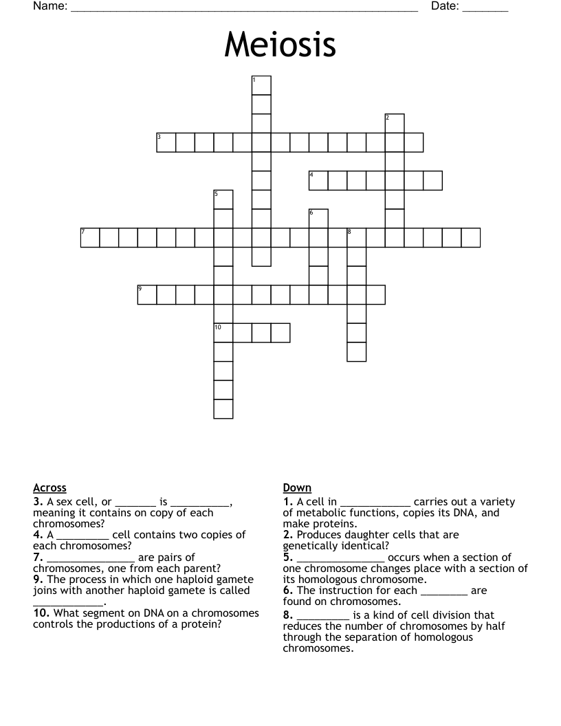 Meiosis Crossword