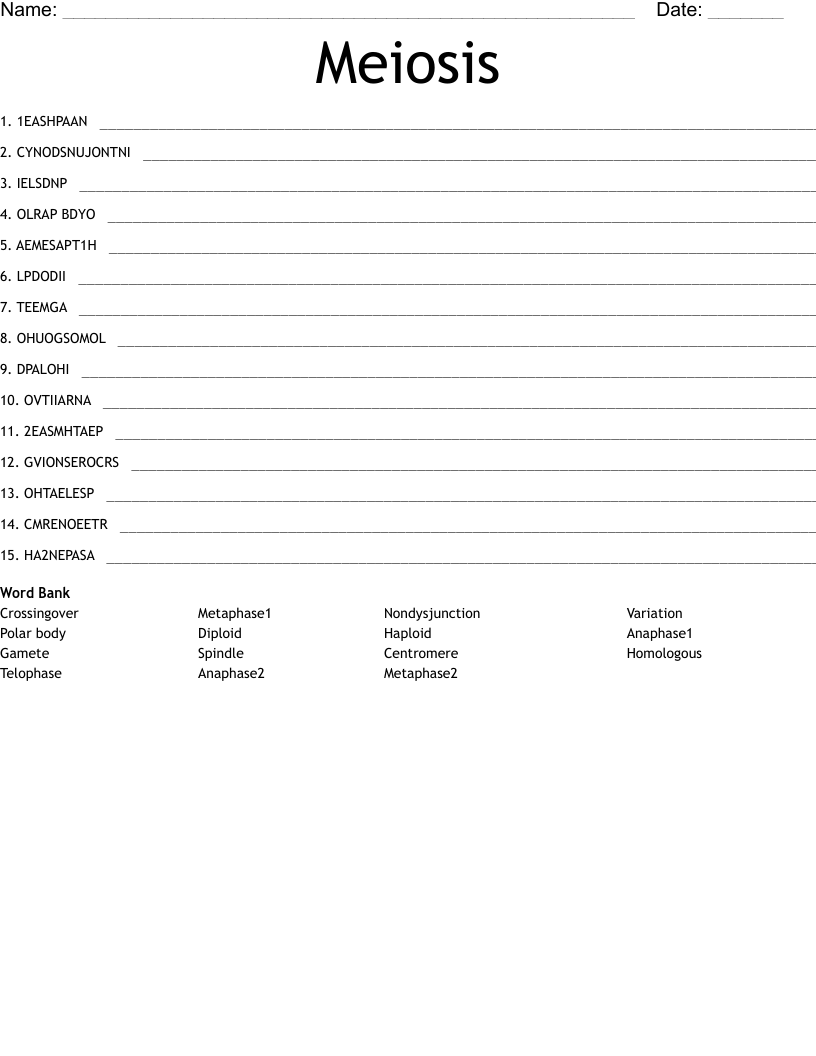 Meiosis Word Scramble