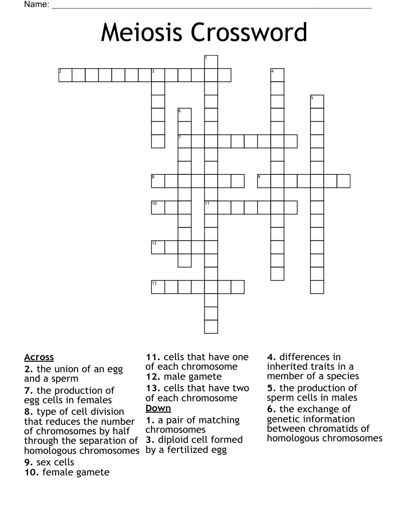 Meiosis Crossword