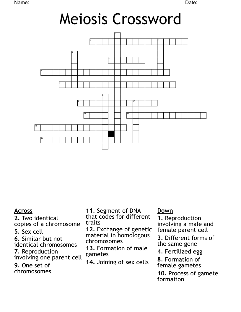 Meiosis Crossword