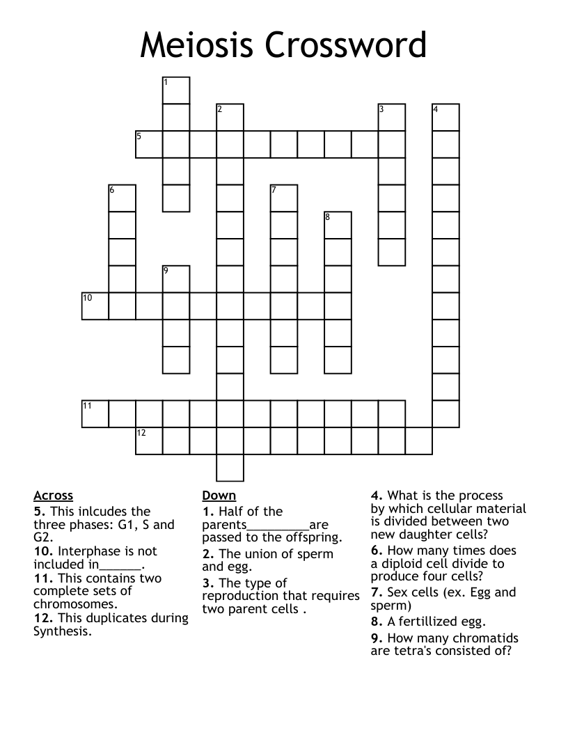 Meiosis Crossword