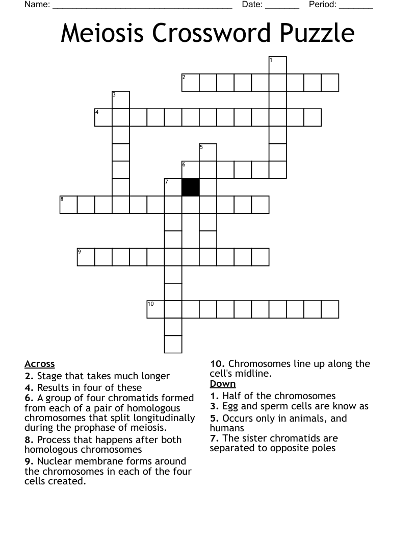 Meiosis Crossword Puzzle