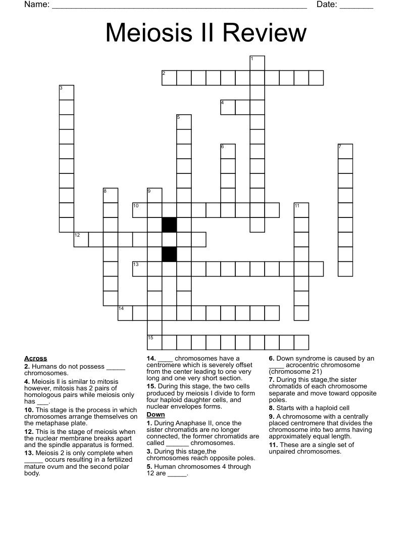 Meiosis II Review Crossword