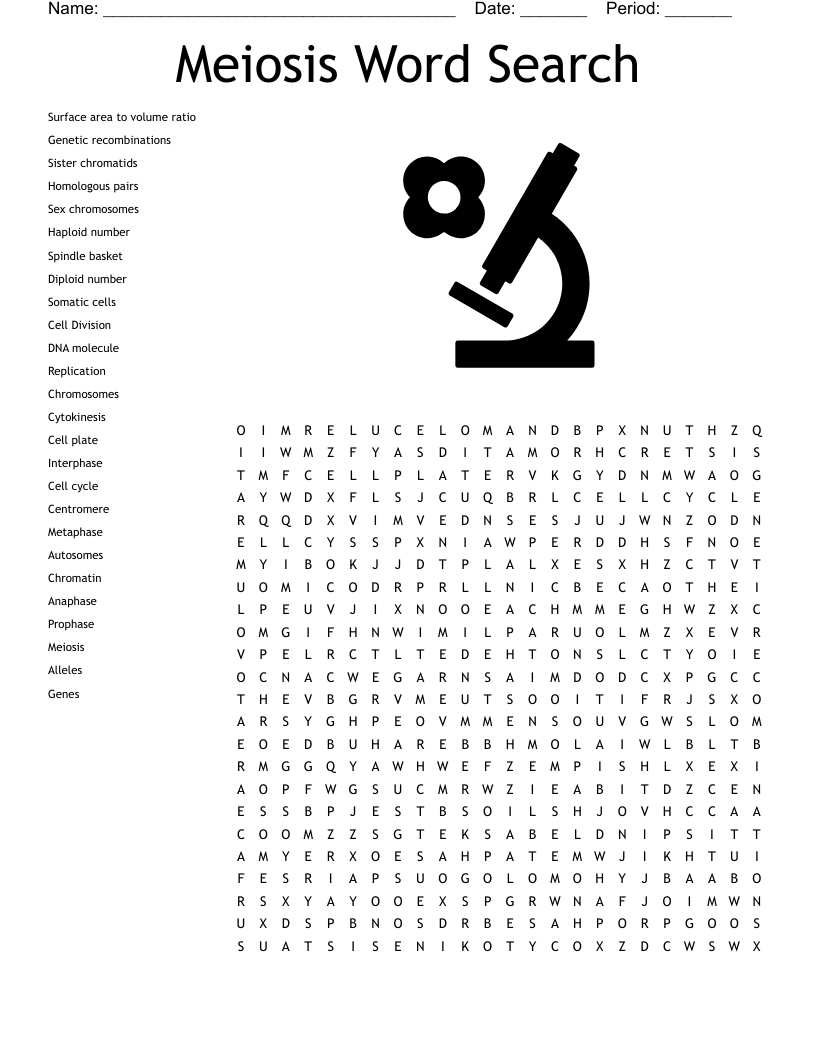 Meiosis Word Search