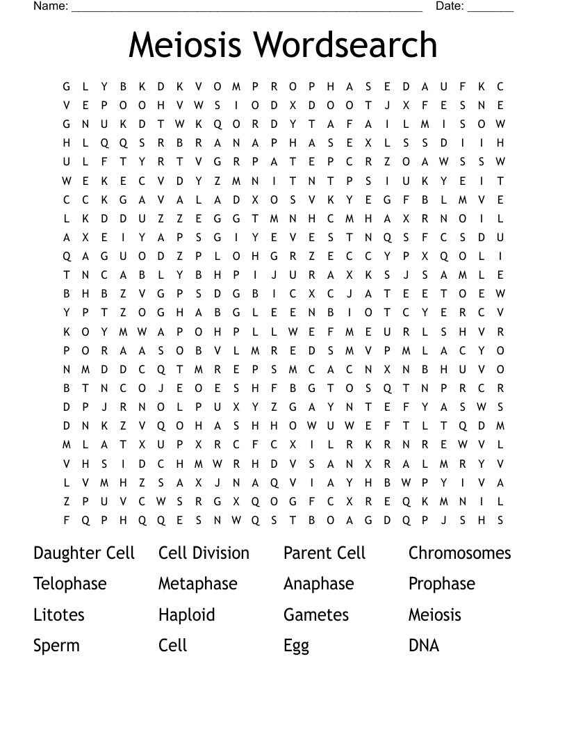 Meiosis Wordsearch