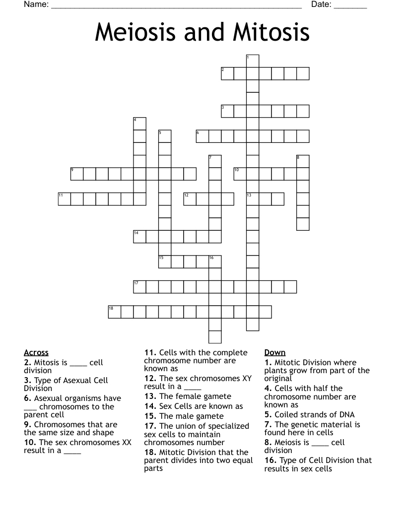 Meiosis and Mitosis Crossword