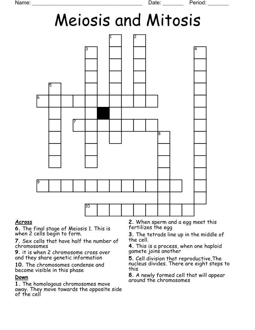 Meiosis and Mitosis Crossword