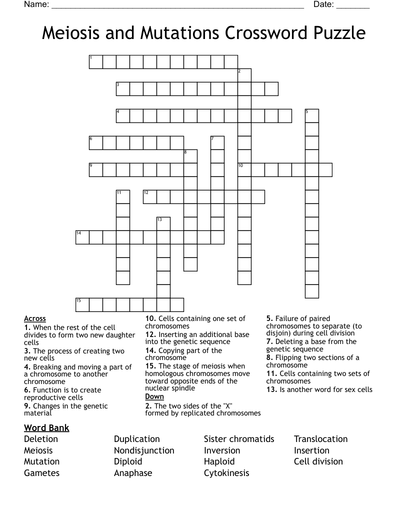 Meiosis and Mutations Crossword Puzzle