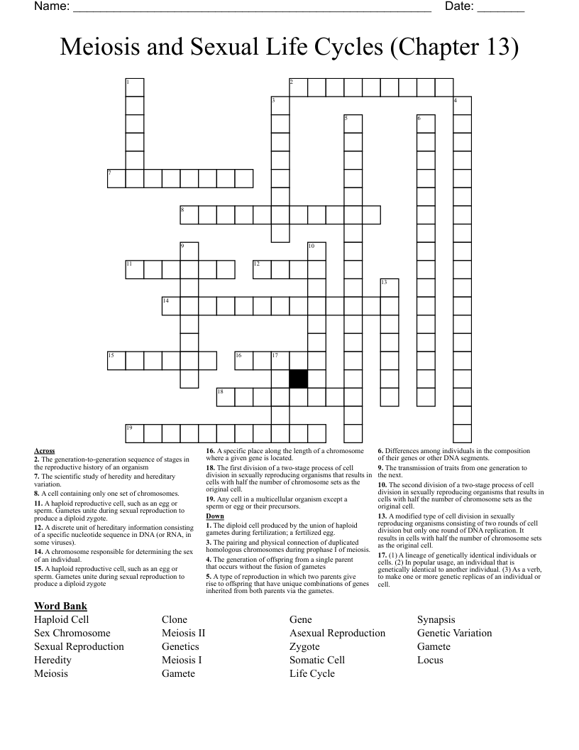 Meiosis and Sexual Life Cycles (Chapter 13) Crossword