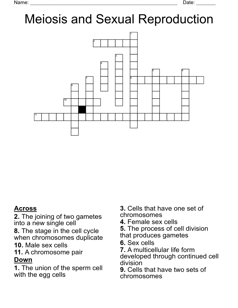 Meiosis and Sexual Reproduction Crossword