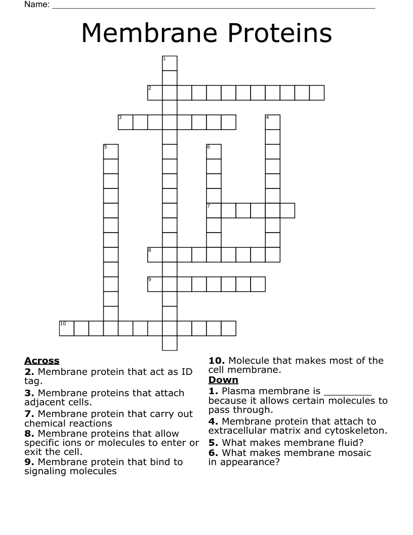 Membrane Proteins Crossword