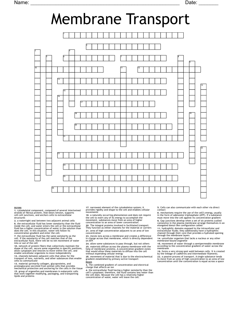 Membrane Transport Crossword