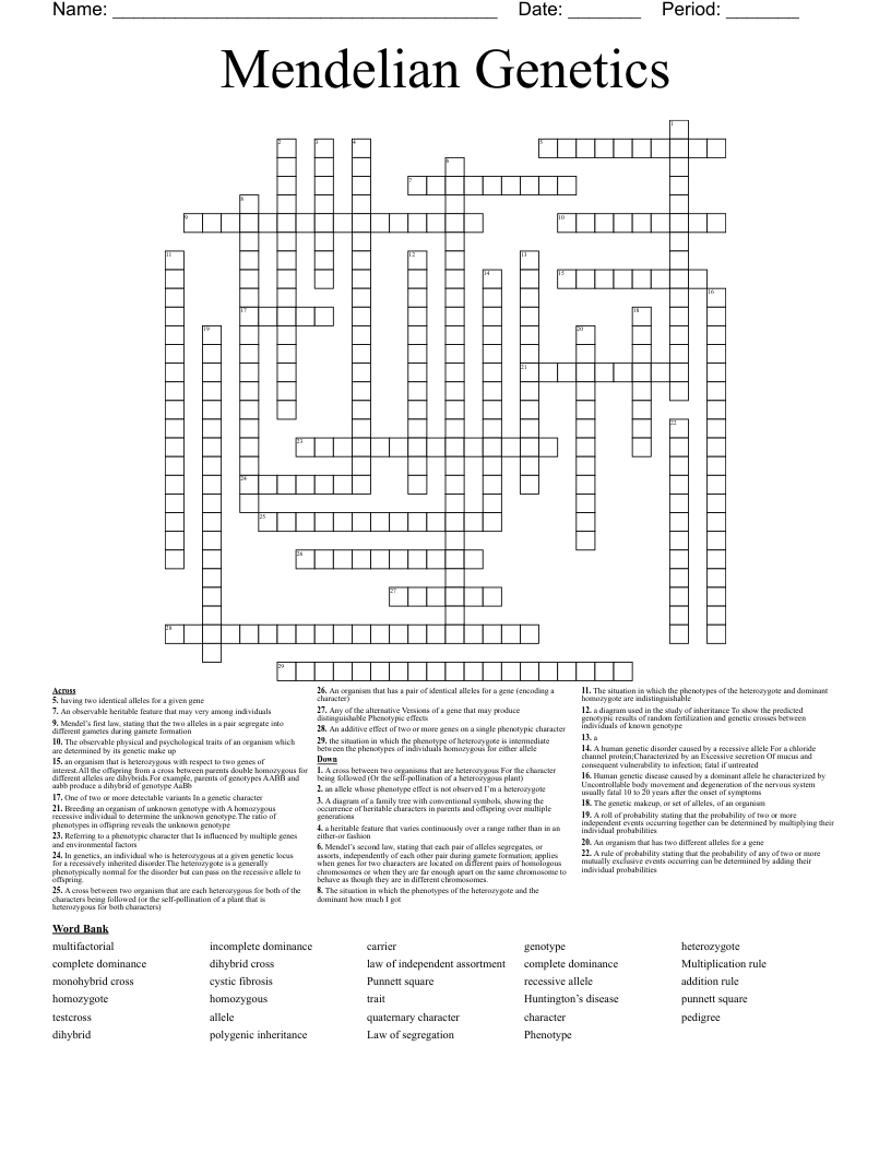 Mendelian Genetics  Crossword