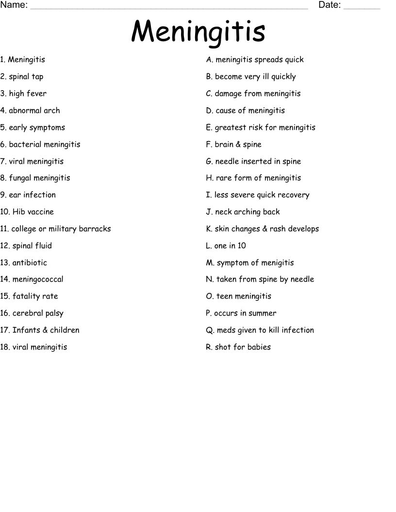Meningitis Worksheet