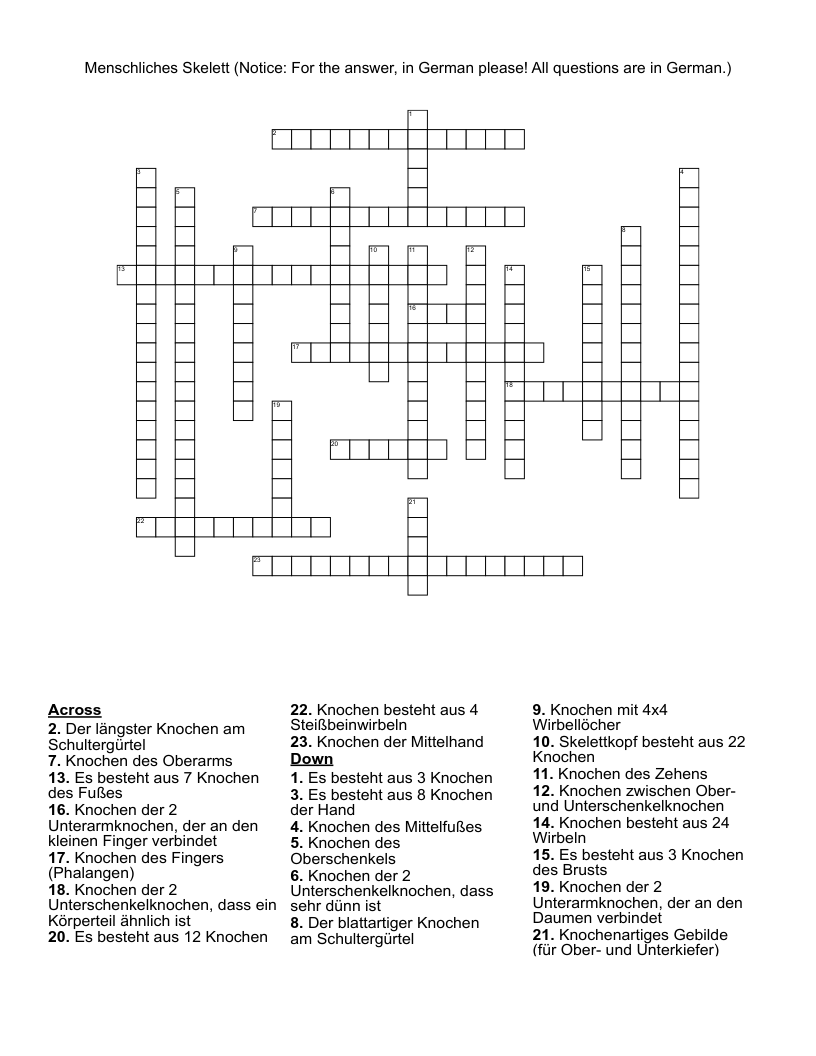 Menschliches Skelett (Notice: For the answer, in German please! All questions are in German.) Crossword
