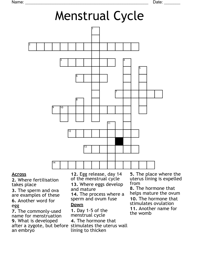 Menstrual Cycle Crossword