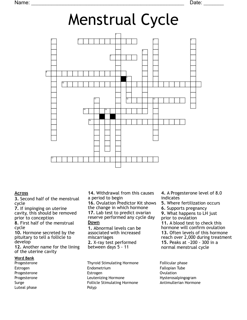 Menstrual Cycle  Crossword