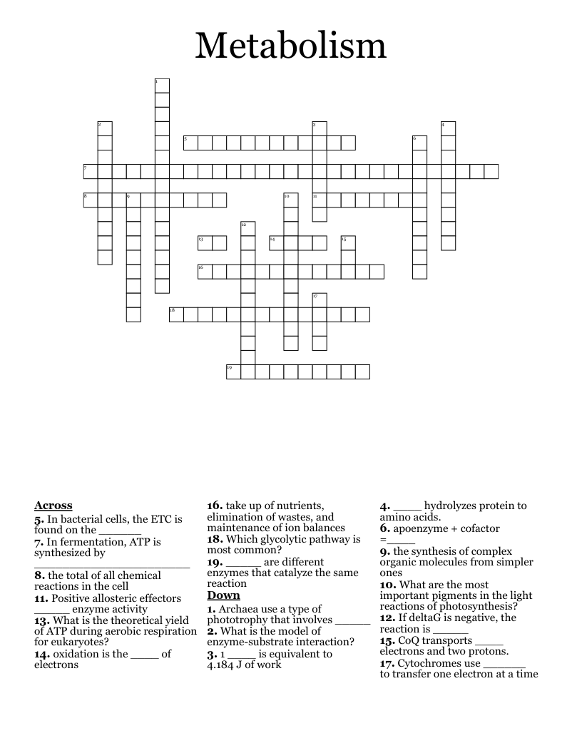 Metabolism Crossword