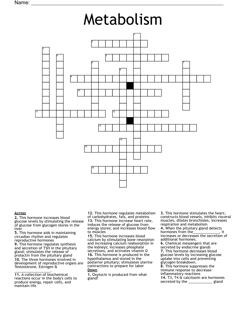 Metabolism Crossword