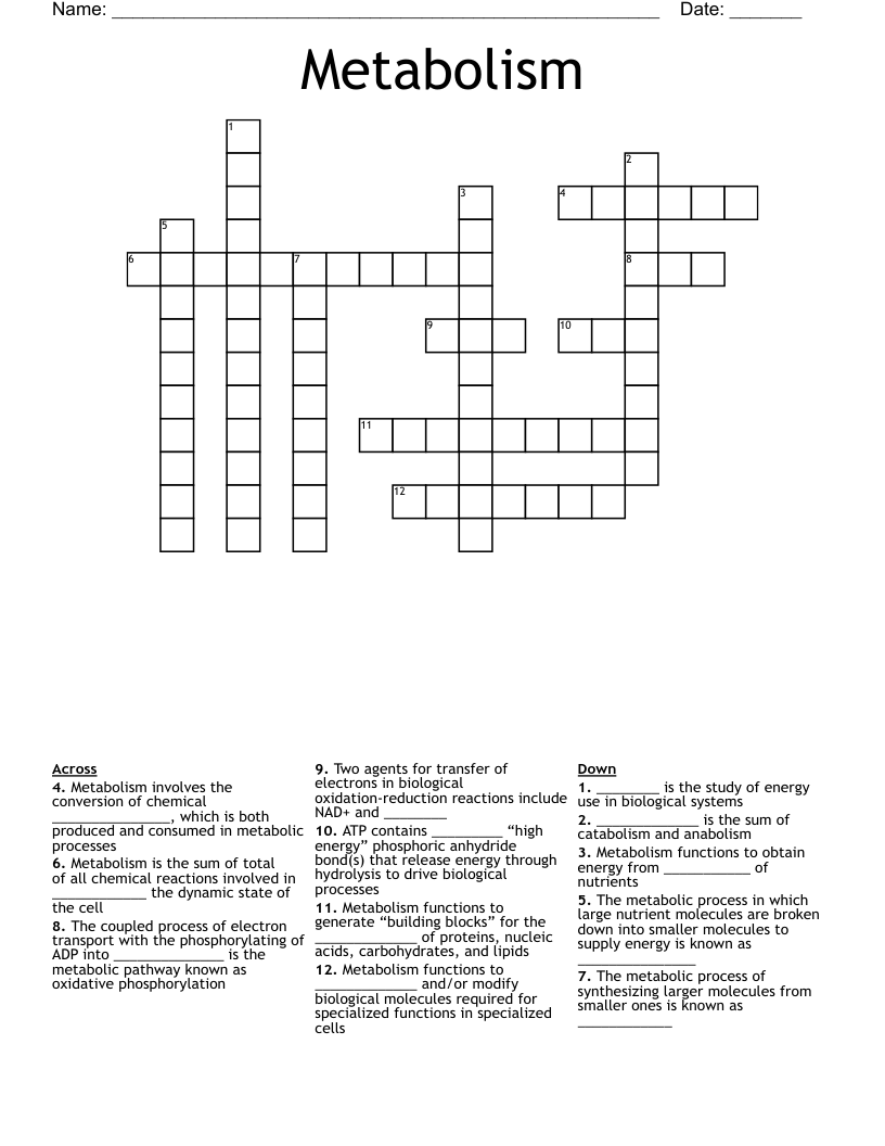 Metabolism Crossword
