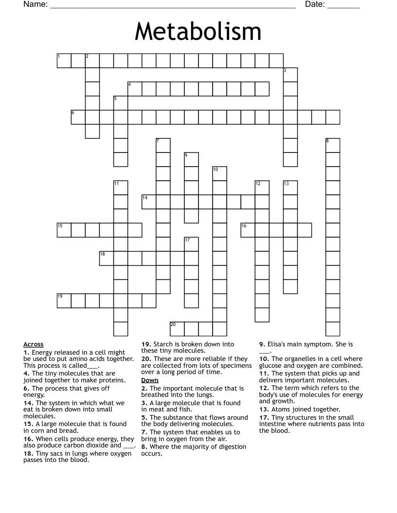 Metabolism Crossword
