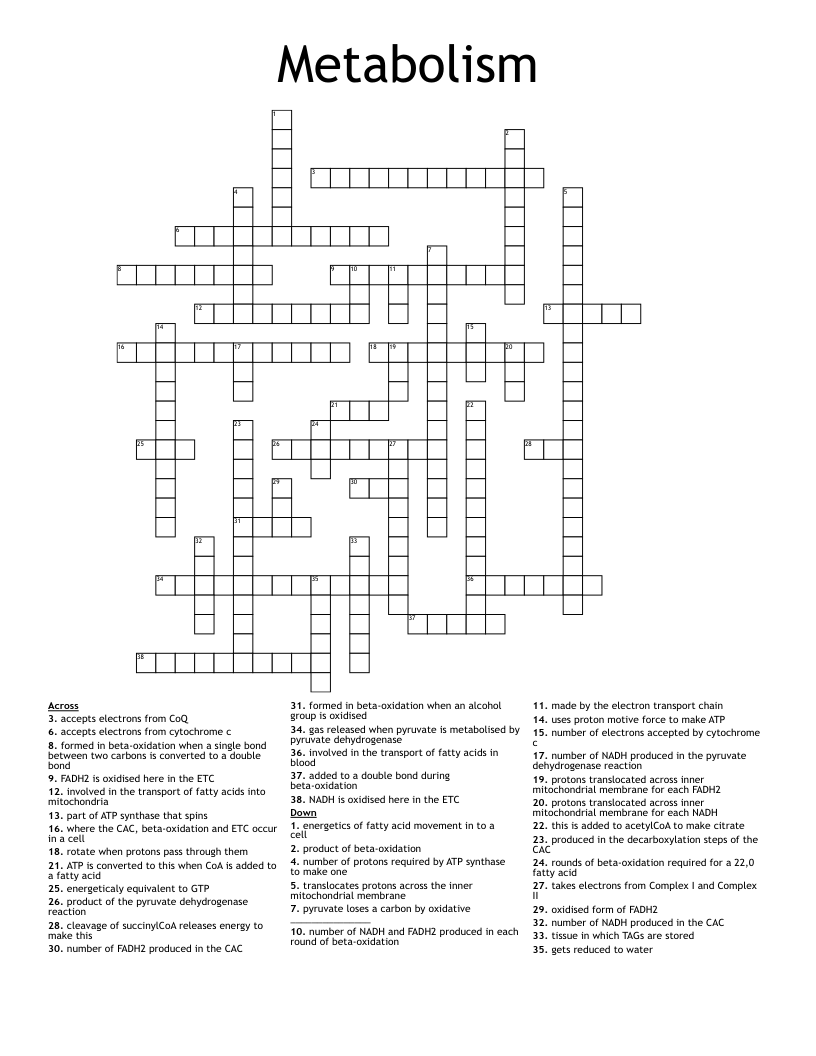 Metabolism Crossword