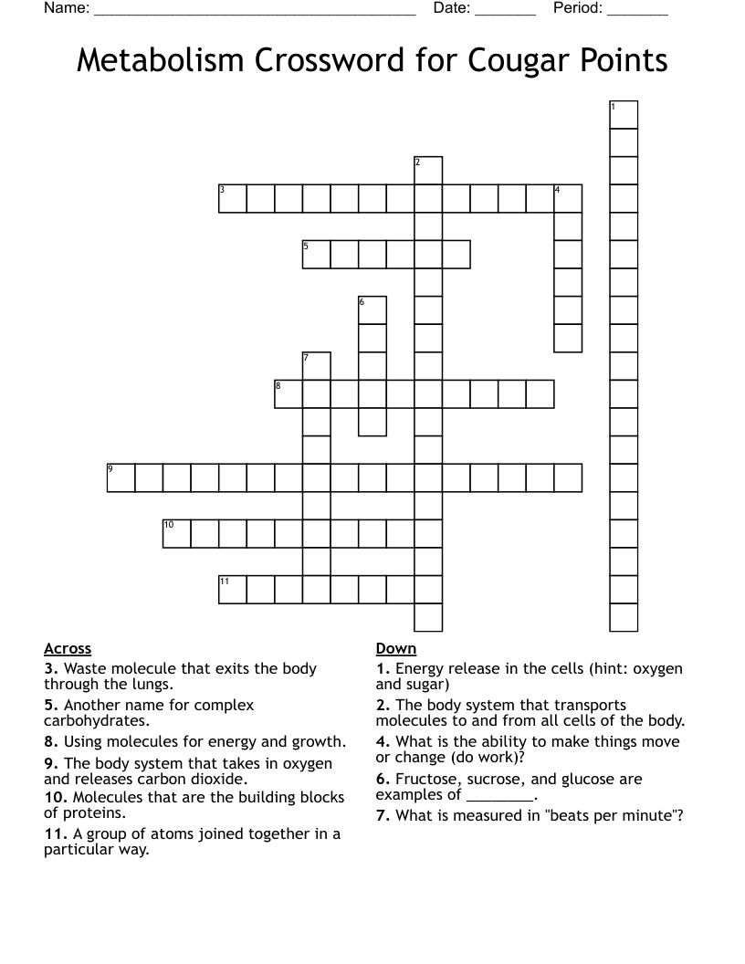Metabolism Crossword for Cougar Points