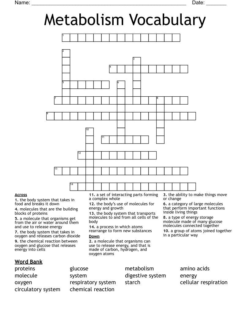 Metabolism Vocabulary Crossword