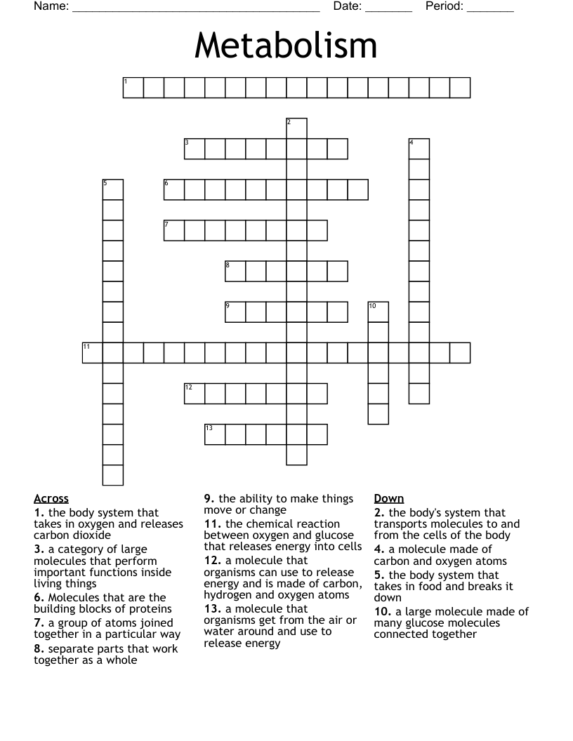 Metabolism  Crossword
