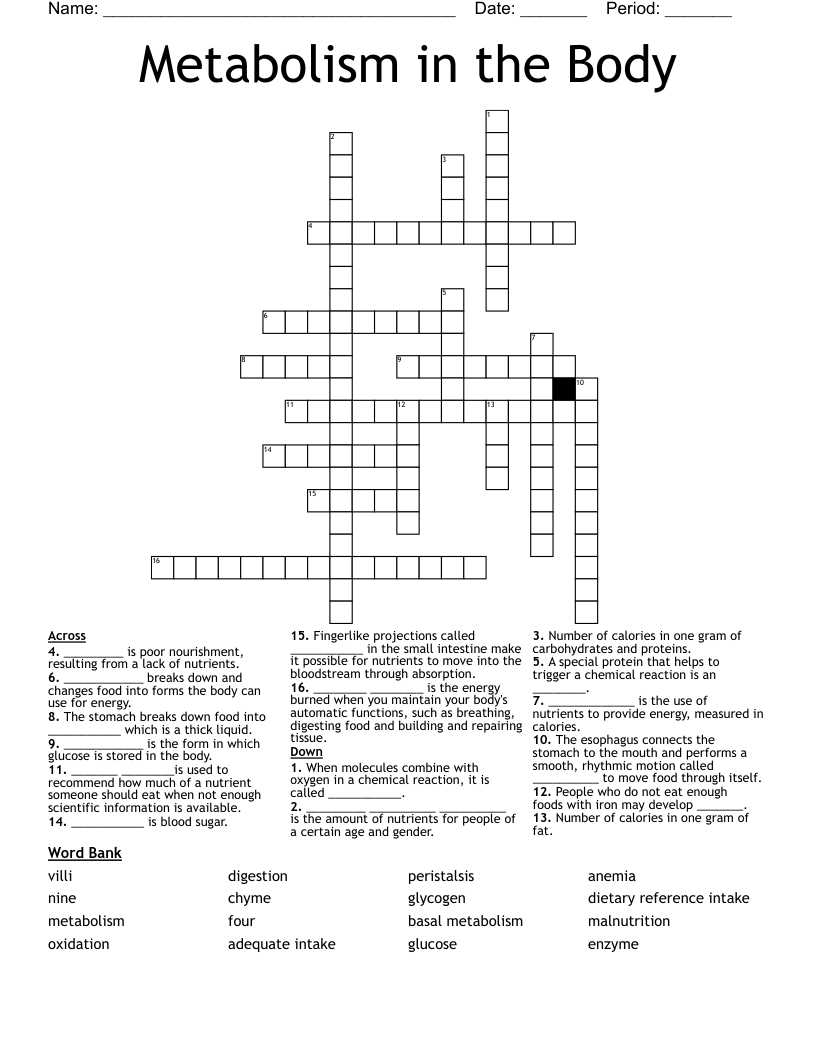 Metabolism in the Body Crossword