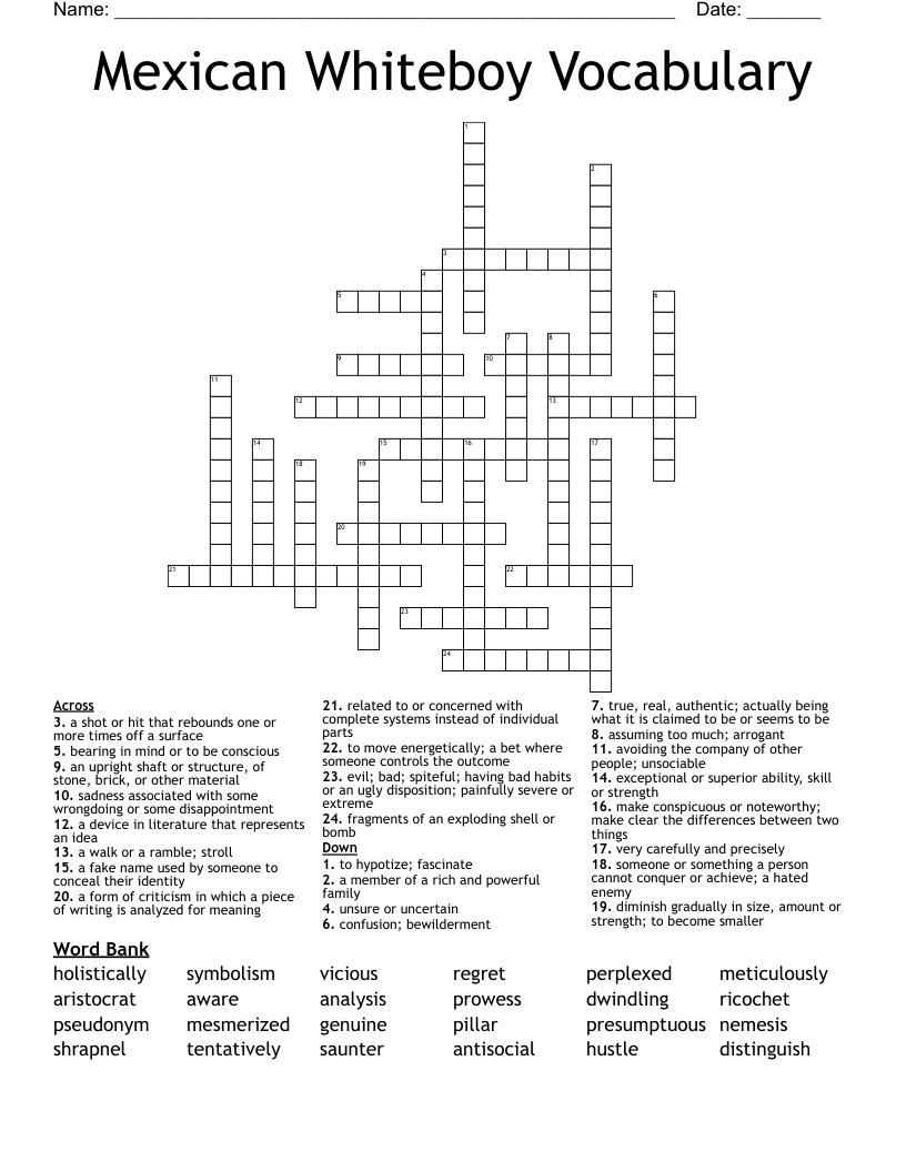 Mexican Whiteboy Vocabulary Crossword
