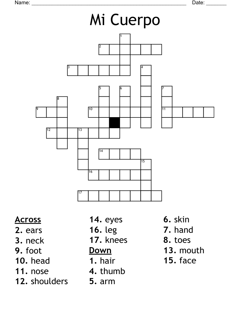 Mi Cuerpo Crossword