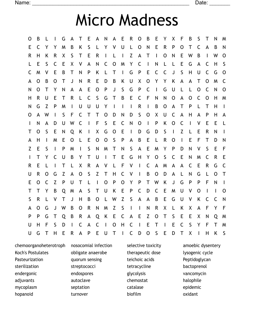 Micro Madness Word Search