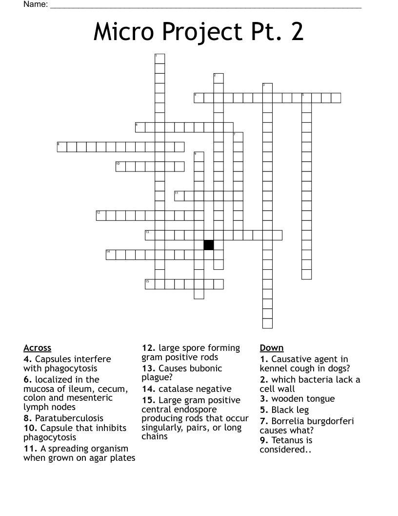 Micro Project Pt. 2 Crossword